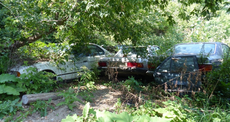 Illustration for article titled A Michigan Town Is Forcing This Man To Sell 20 Old Cars Off His Property Every Month
